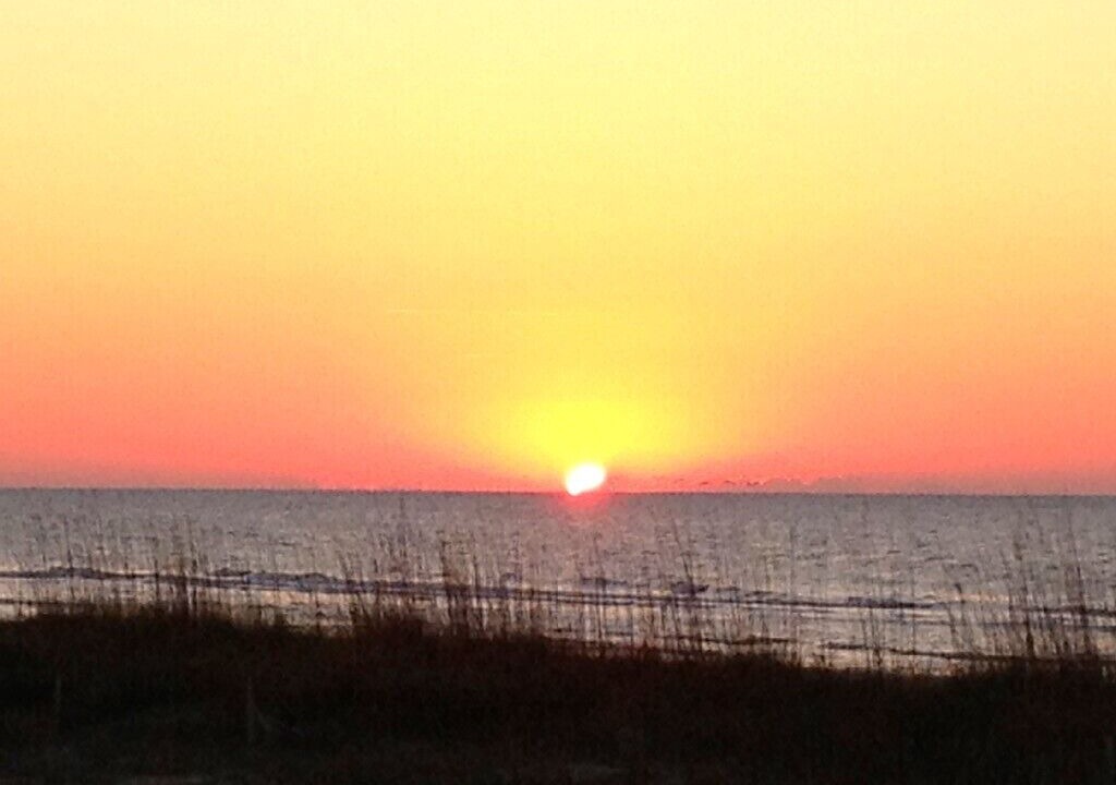 Photo of Others in Palmetto Dunes