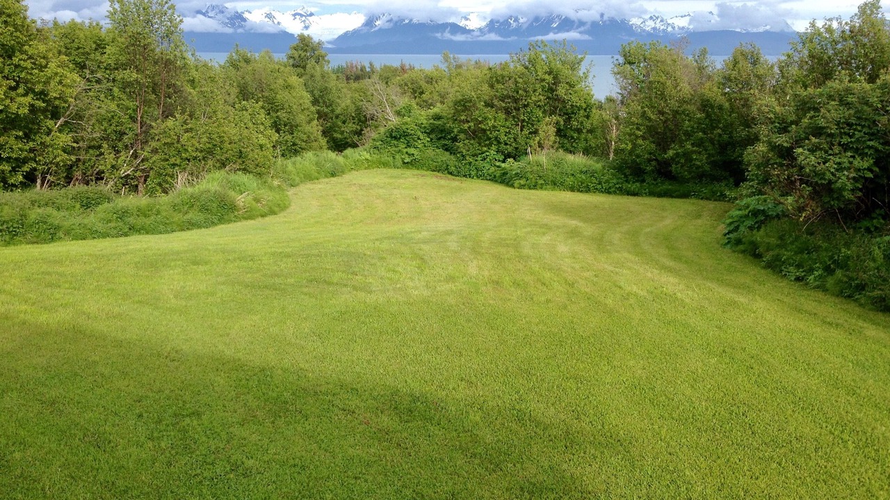 Photo of Others in Kachemak