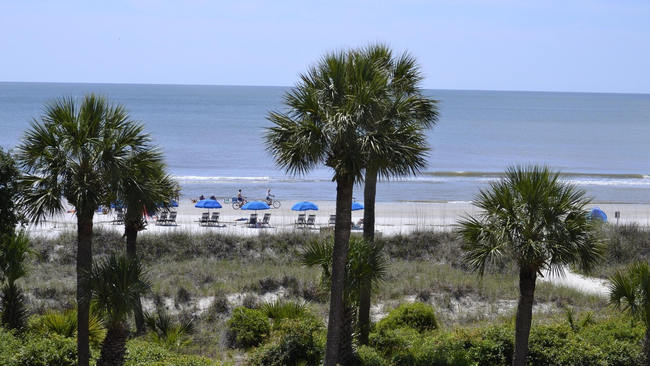 Photo of Others in Palmetto Dunes