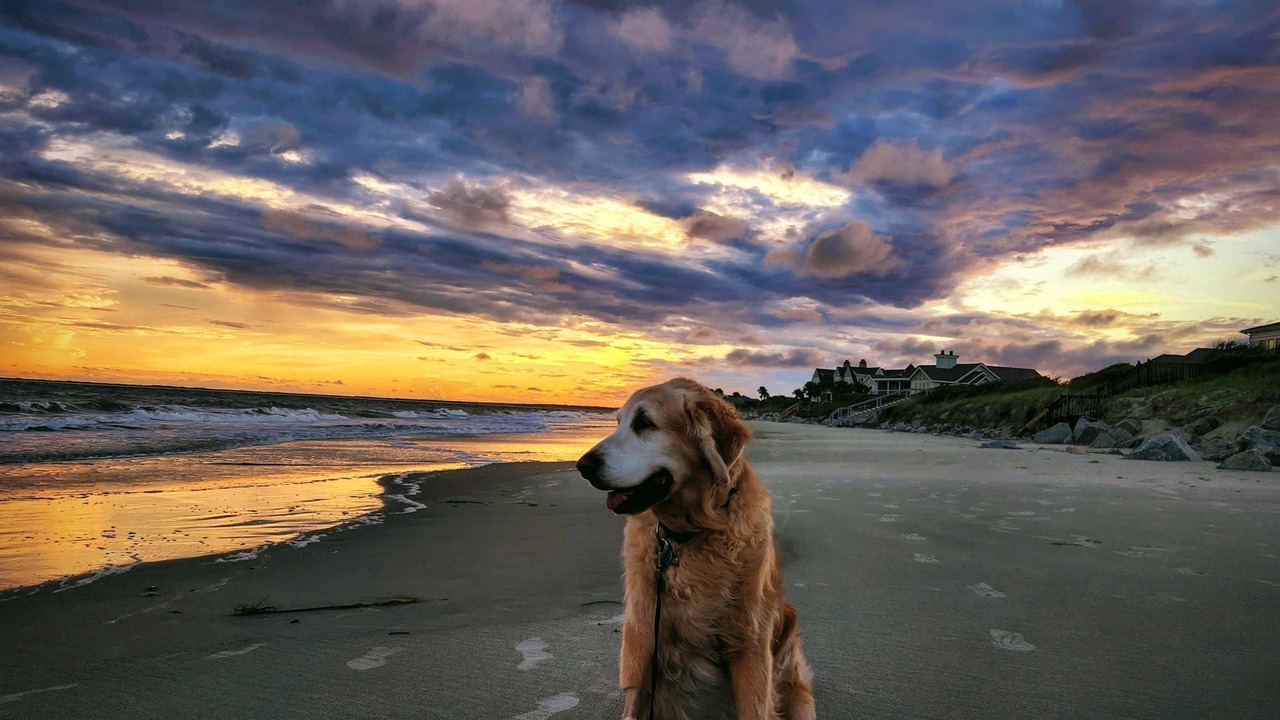Photo of Others in Seabrook Island