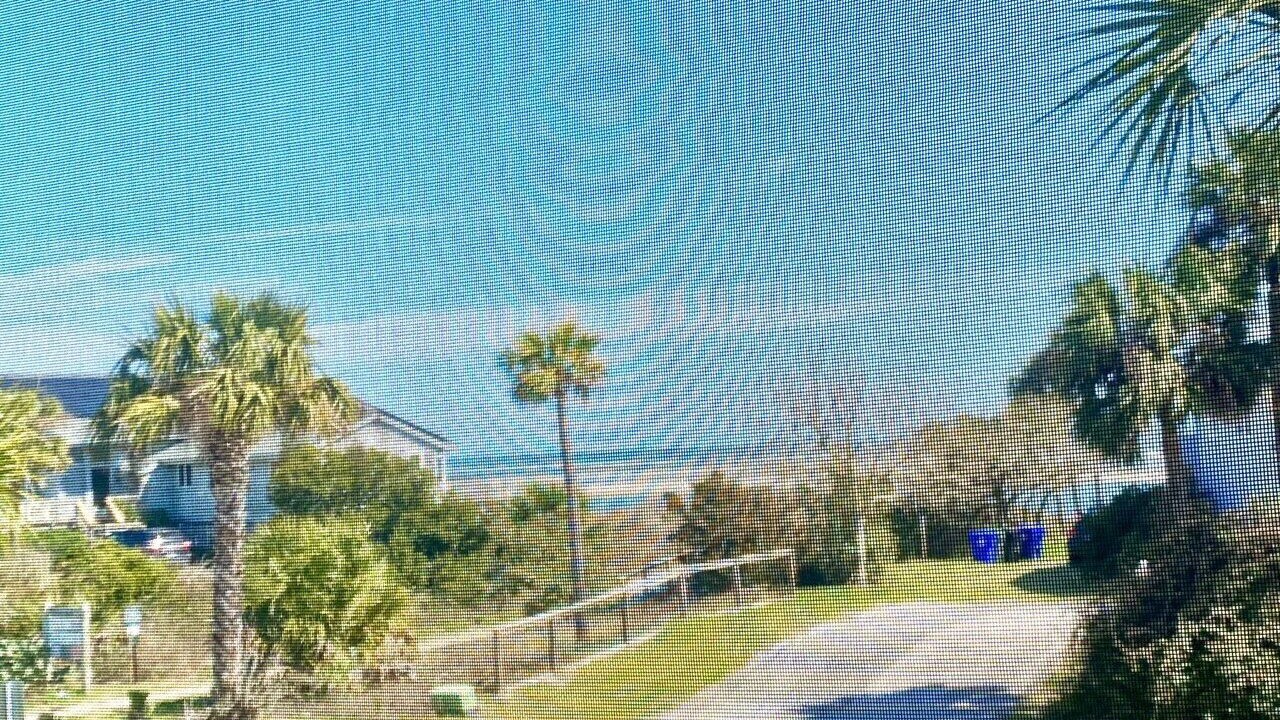 Photo of Outdoor in Sullivan's Island
