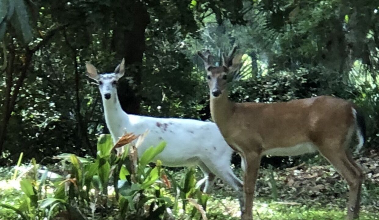 Photo of Others in West Beach