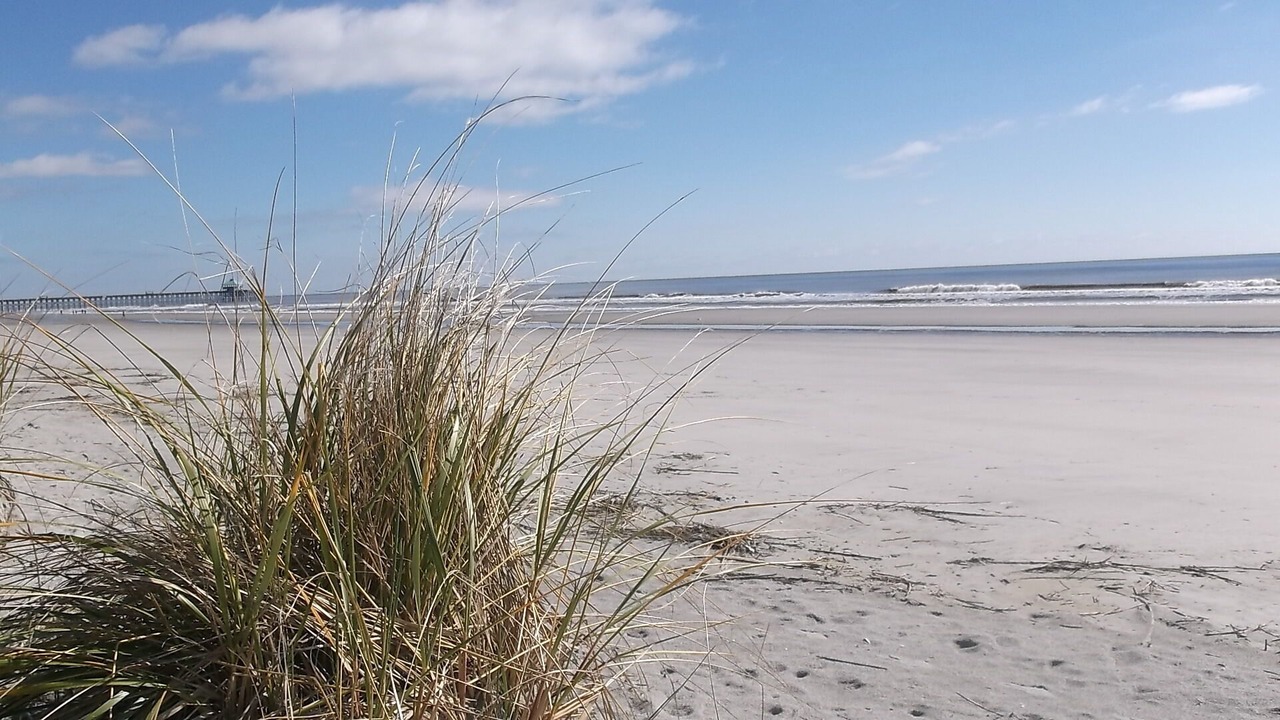 Photo of Others in Folly Beach