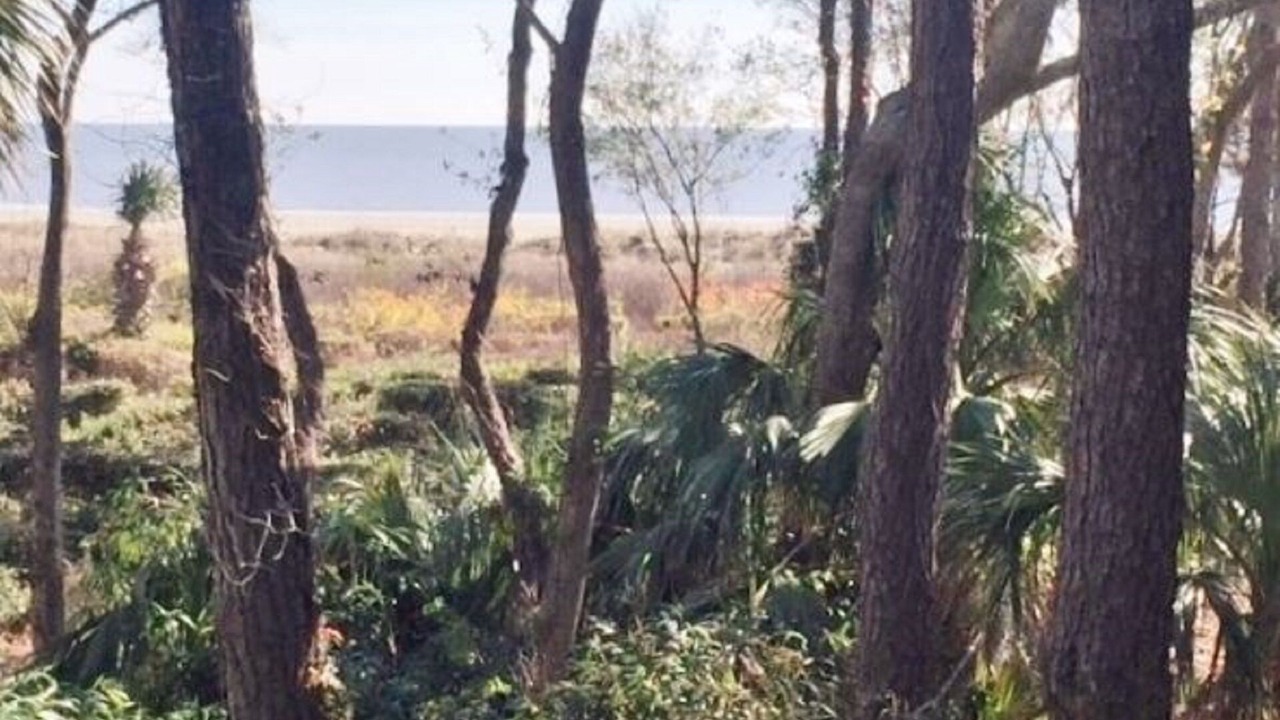 Photo of Patio Balcony in Hilton Head Island