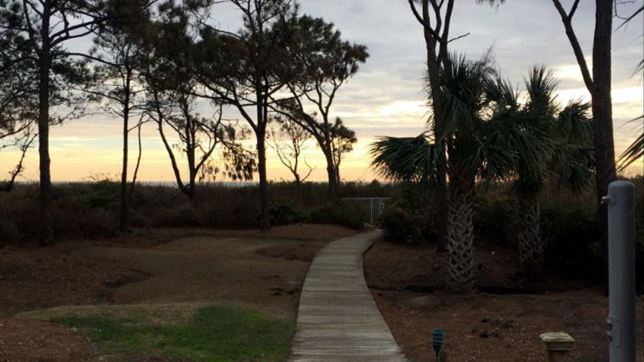 Photo of Others in Hilton Head Island