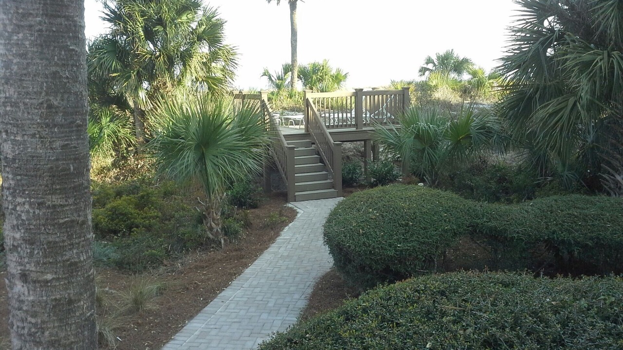 Photo of Others in Palmetto Dunes