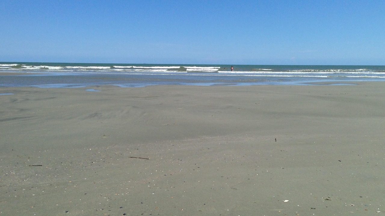Photo of Others in Isle of Palms