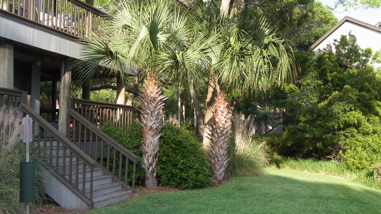 Photo of Others in Kiawah Island
