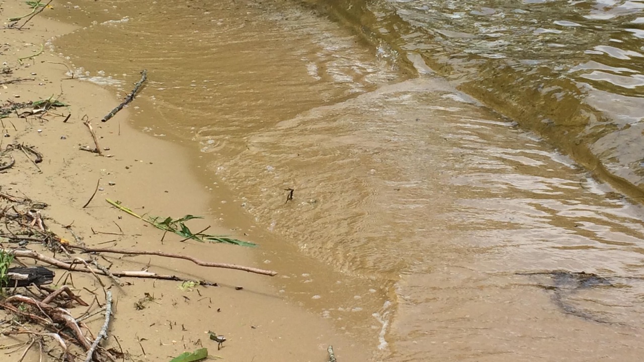Photo of Others in Eutawville