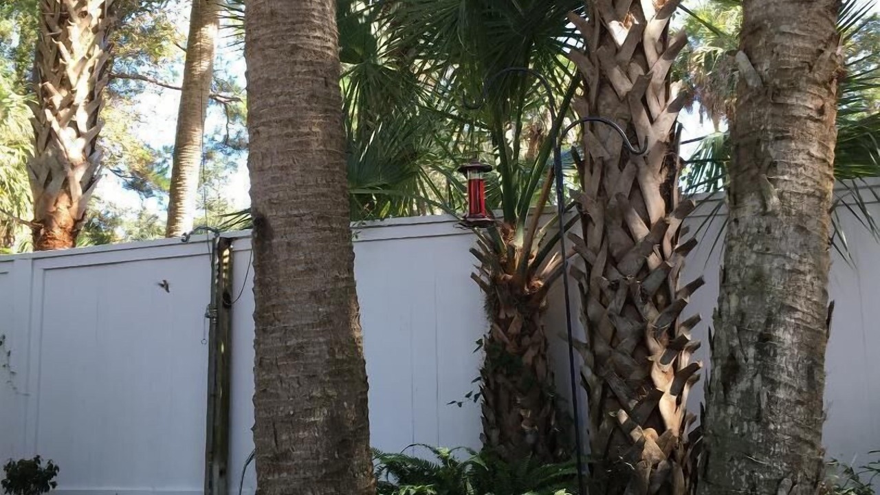 Photo of Others in Hilton Head Island