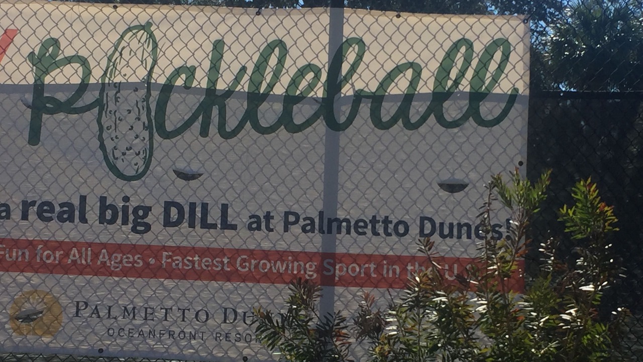 Photo of Others in Palmetto Dunes