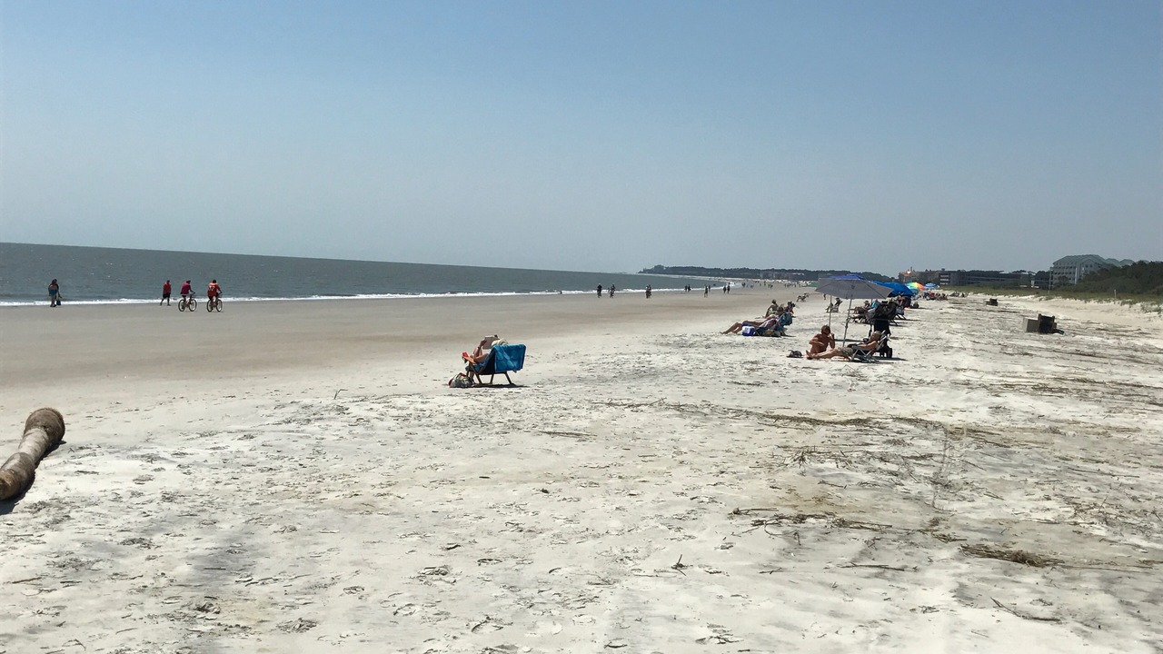 Photo of Others in Folly Field