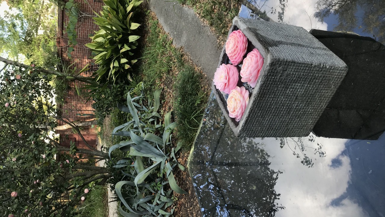 Photo of Outdoor in Thomas Square