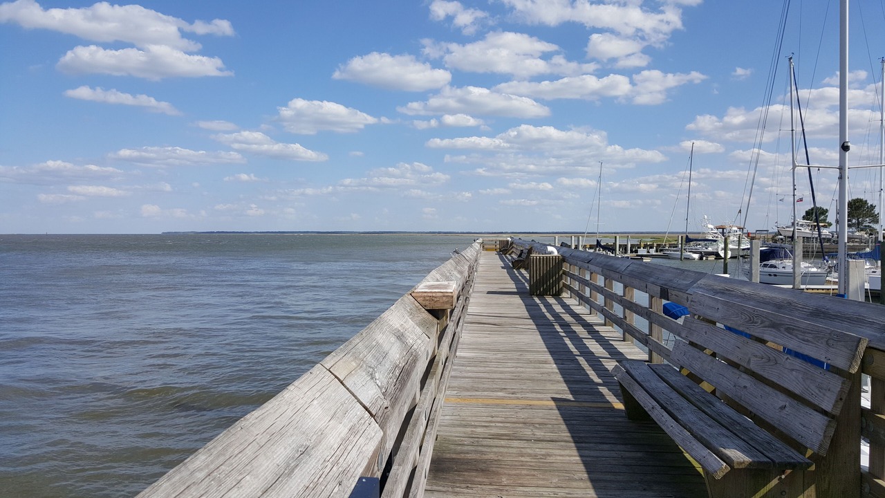 Photo of Others in The Landings