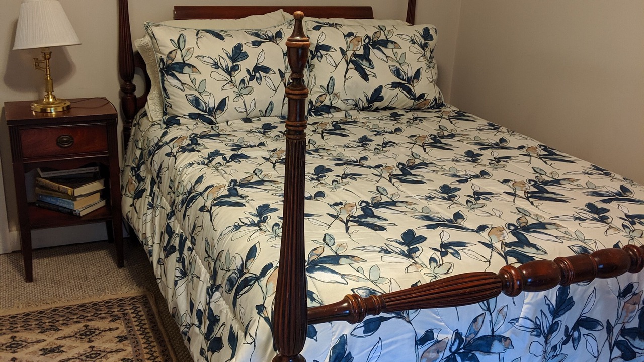 Photo of Bedroom in Aiken