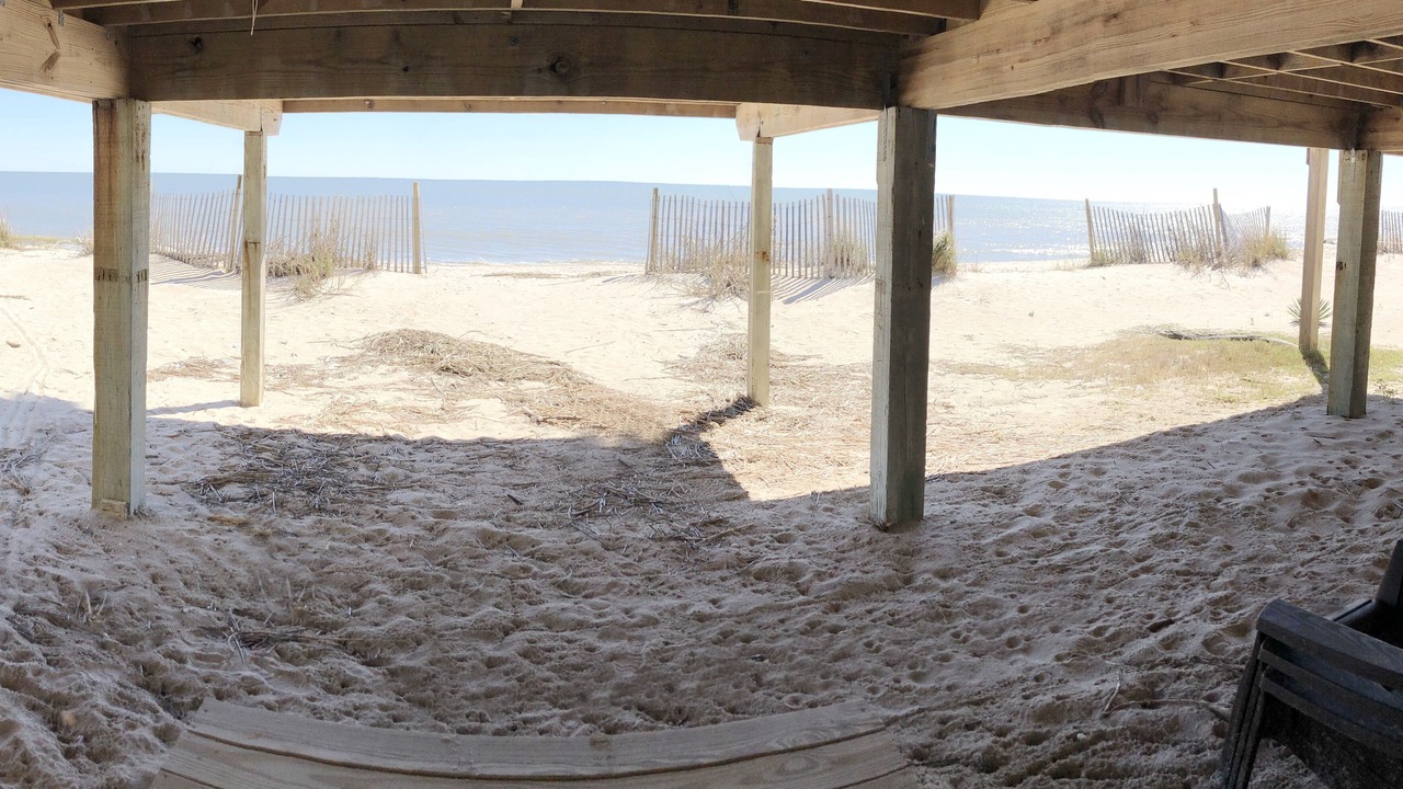 Photo of Others in Edisto Island