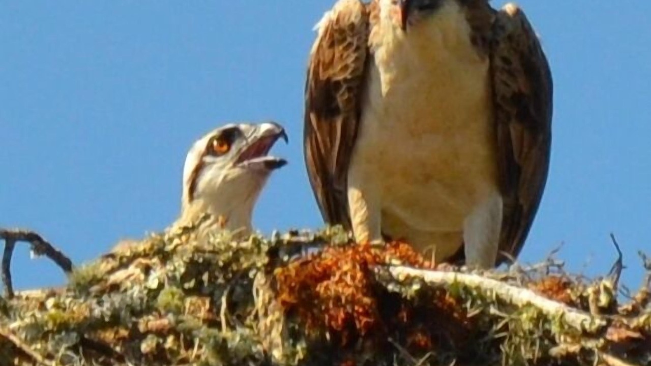 Photo of Outdoor in Kiawah Island