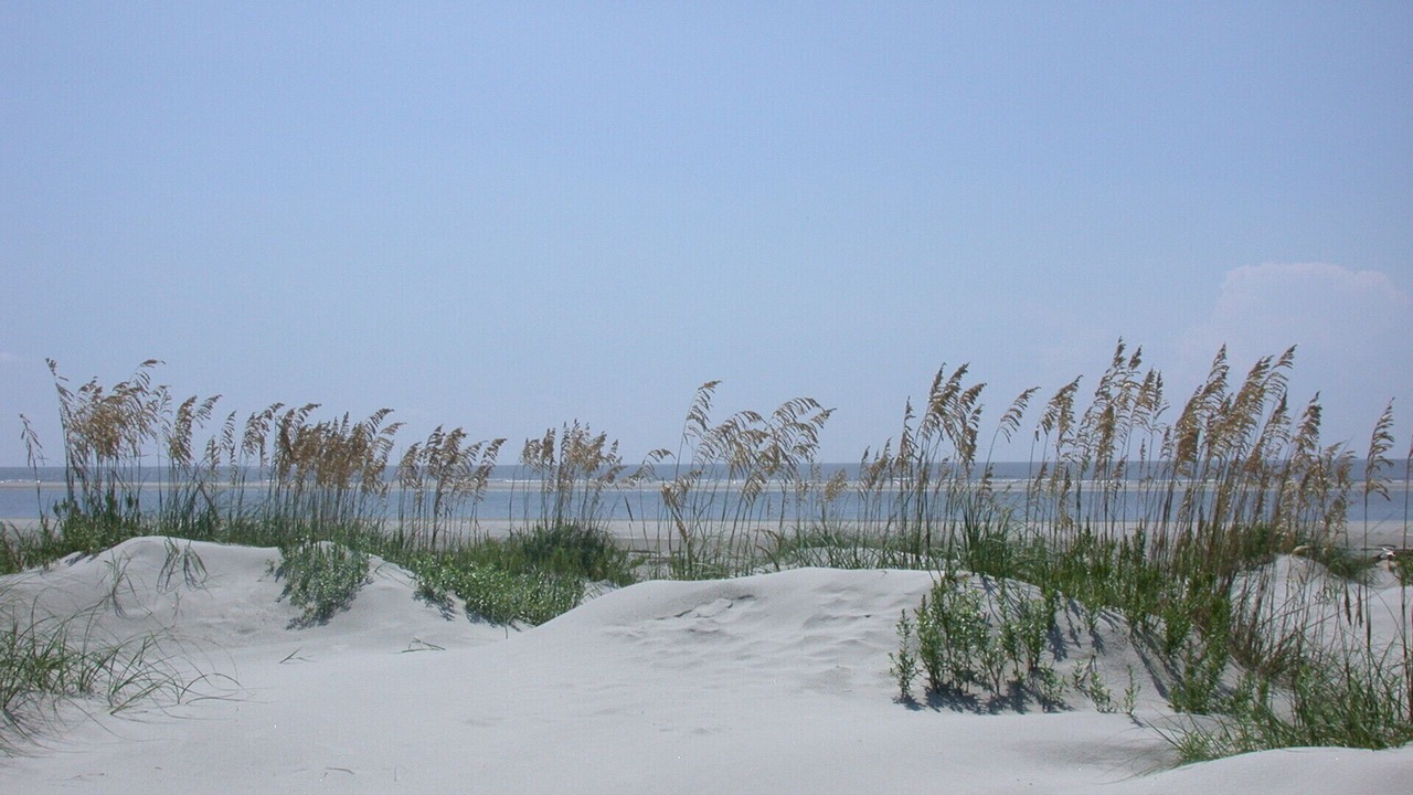 Photo of Others in Beaufort