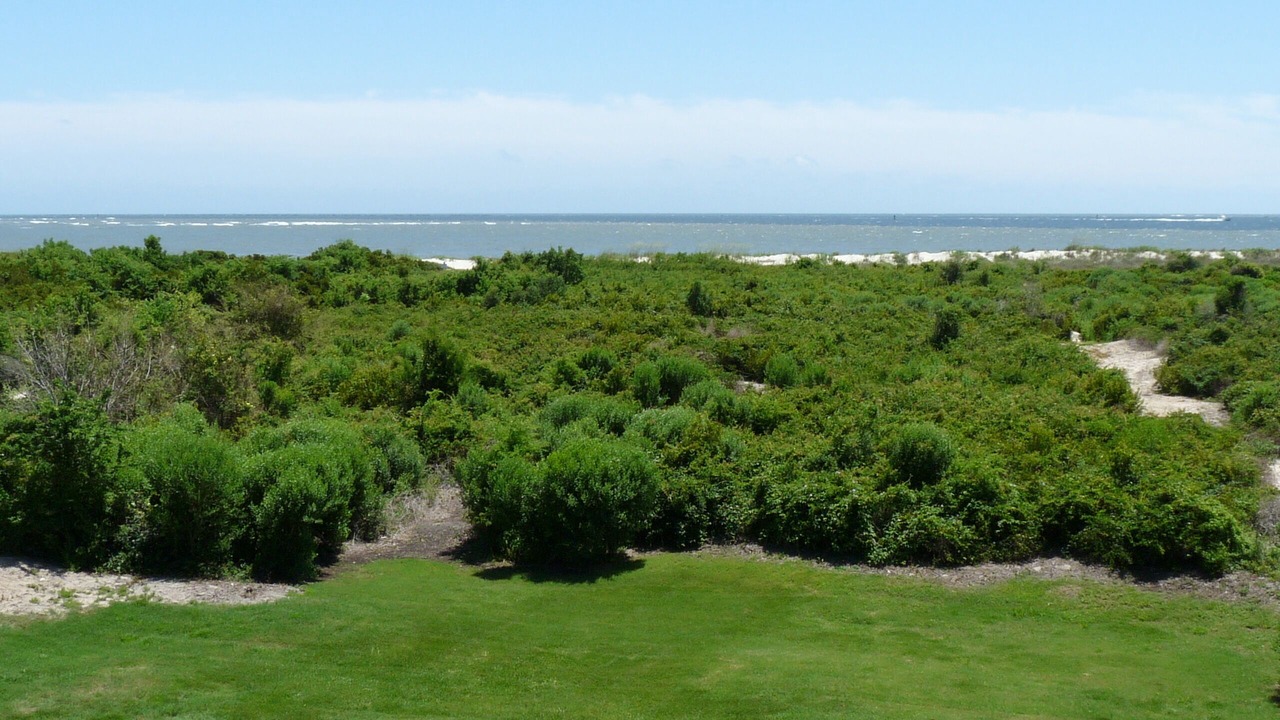 Photo of Others in Sullivan's Island