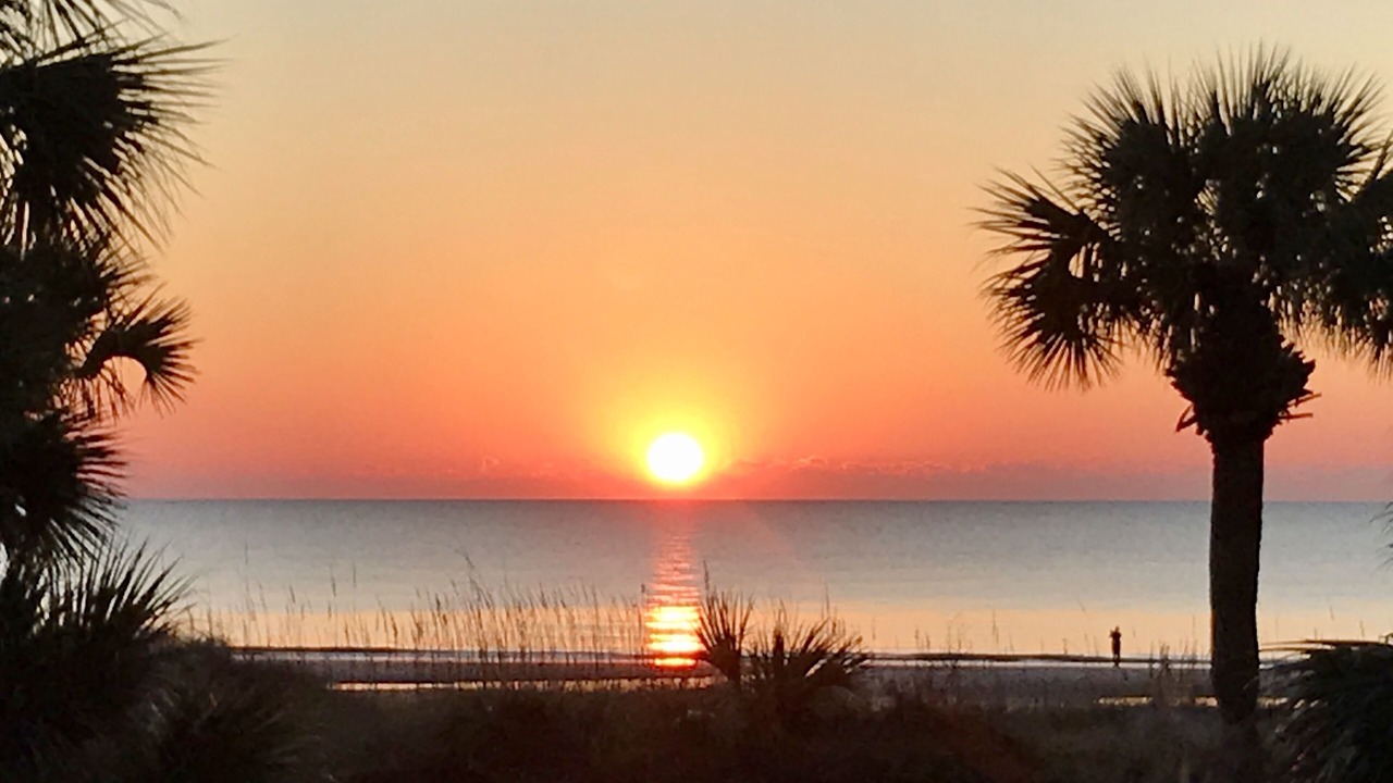 Photo of Outdoor in Palmetto Dunes