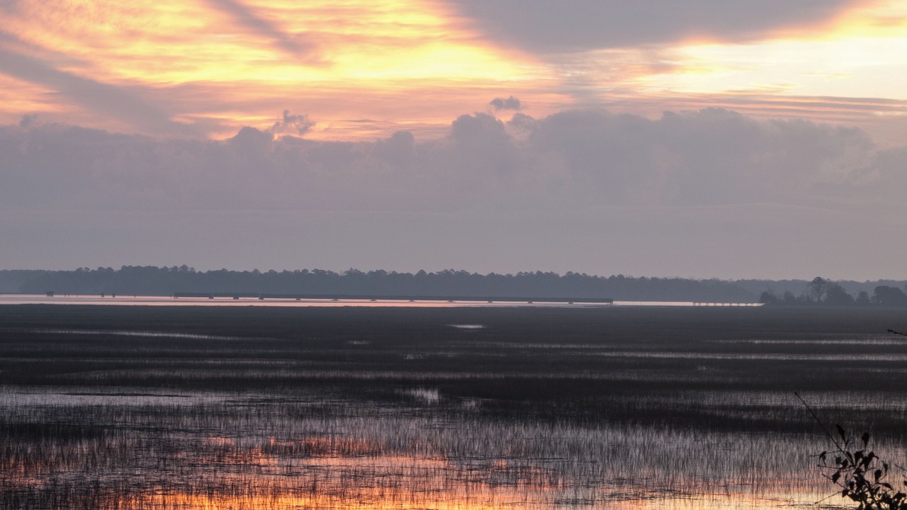 Photo of Others in Knowles Island Plantation