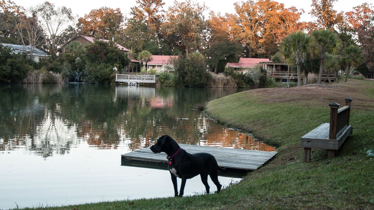 Photo of Outdoor in Knowles Island Plantation
