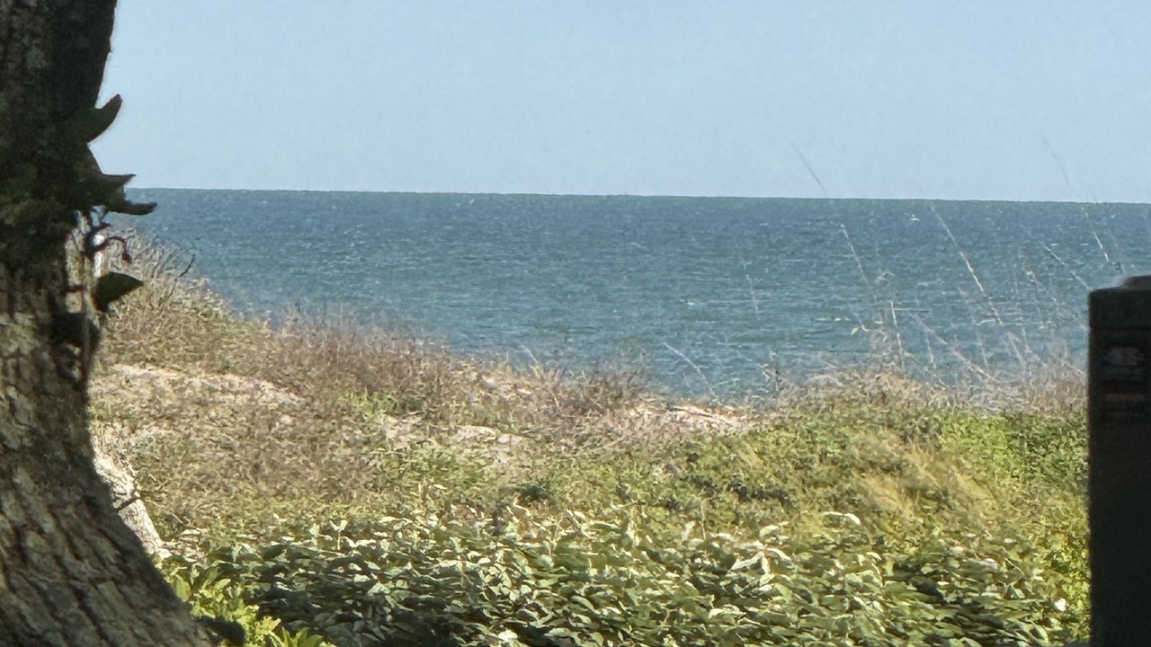 Photo of Others in Kiawah Island