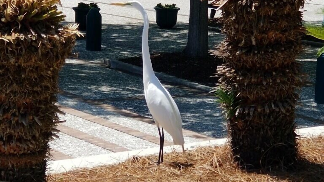 Photo of Outdoor in Kiawah Island