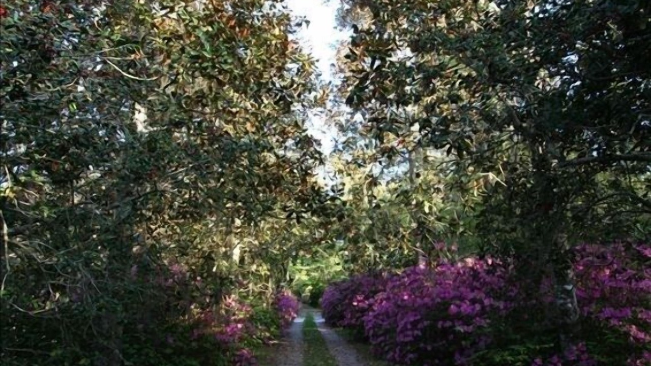 Photo of Others in Okatie