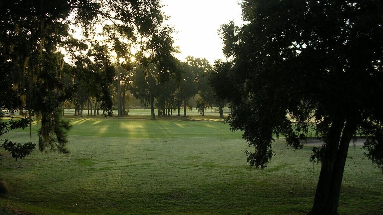 Photo of Others in Palmetto Dunes