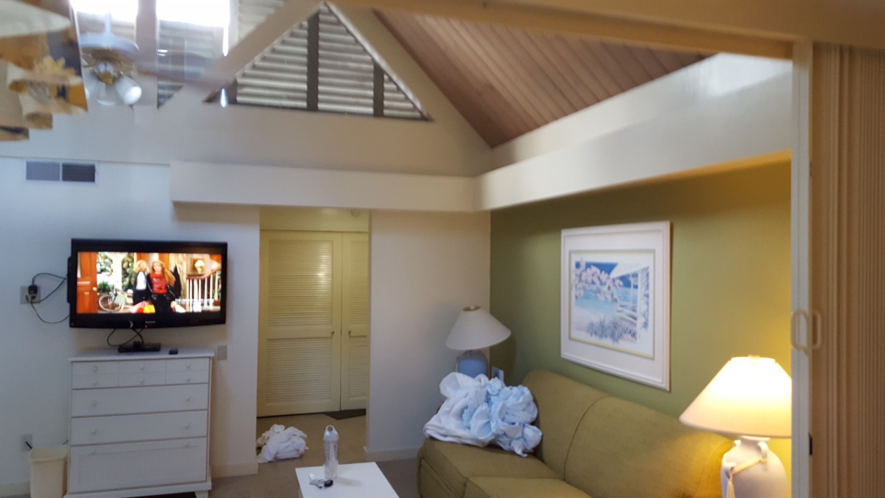 Photo of Livingroom in Palmetto Dunes