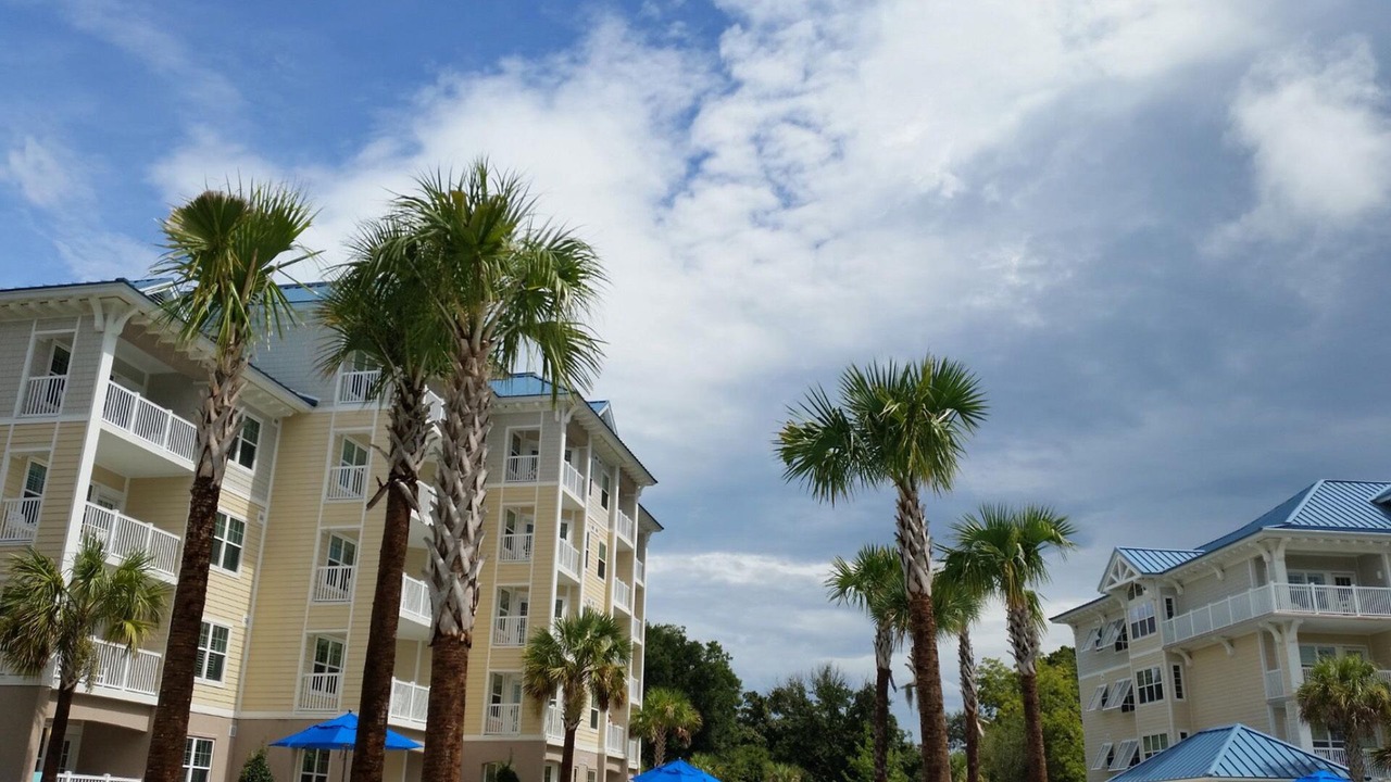 Photo of Outdoor in Palmetto Dunes