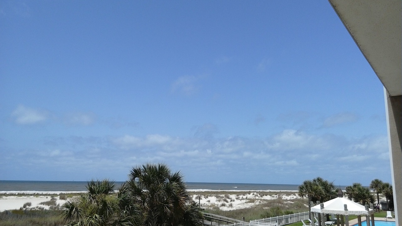 Photo of Outdoor in Dauphin Island