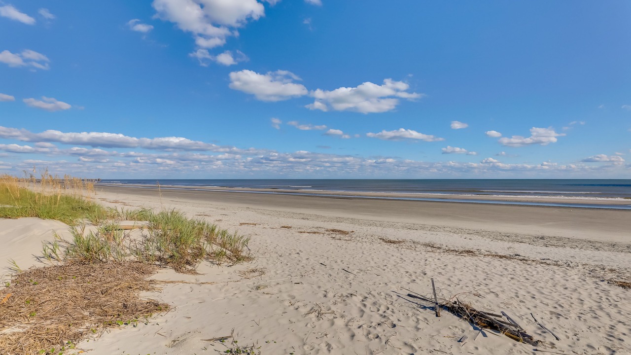 Photo of Others in Isle of Palms