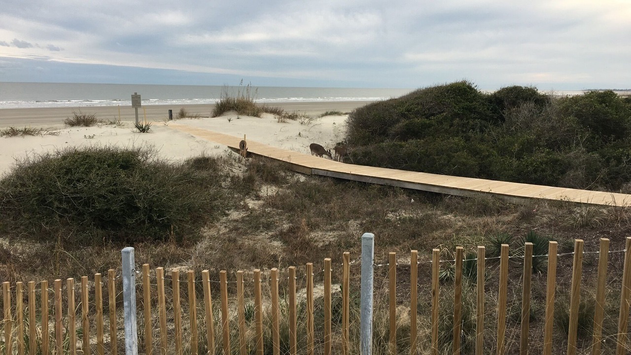 Photo of Others in Kiawah Island