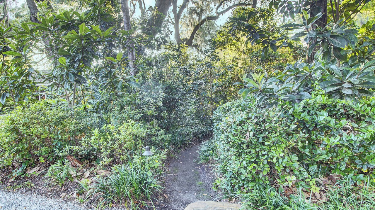 Photo of Outdoor in Summerville Historic District
