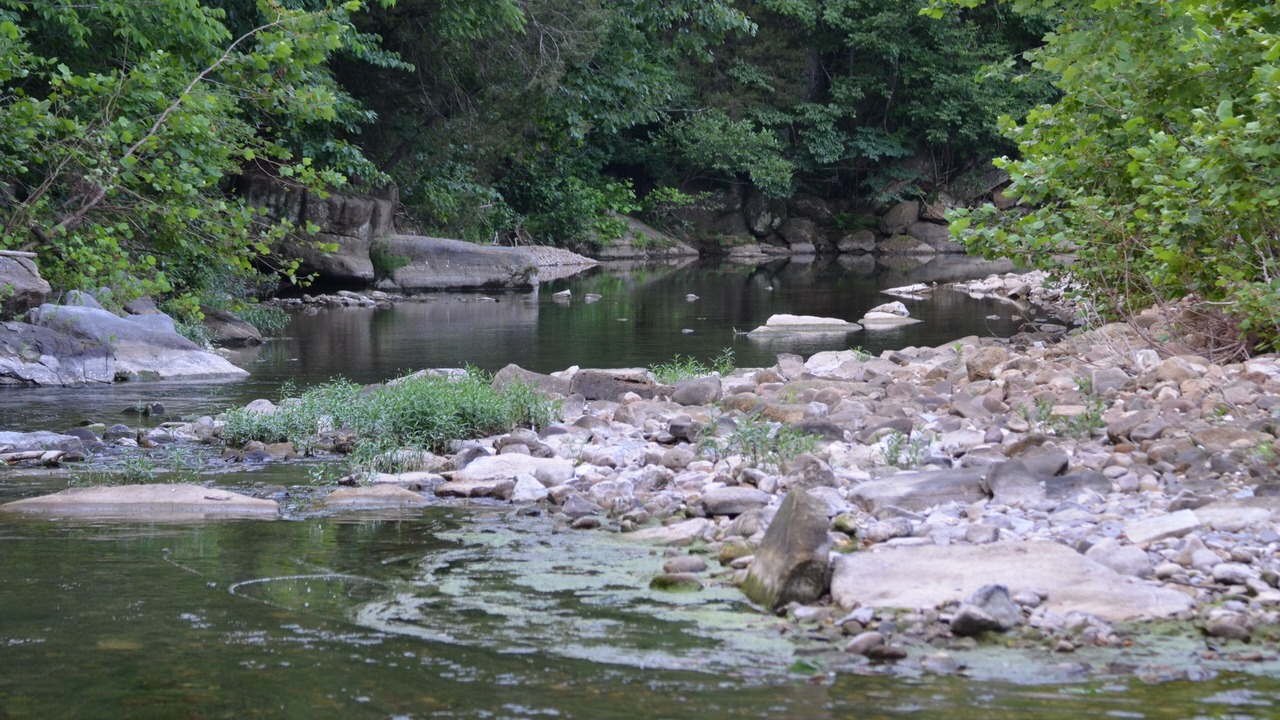 Photo of Others in Mount Judea