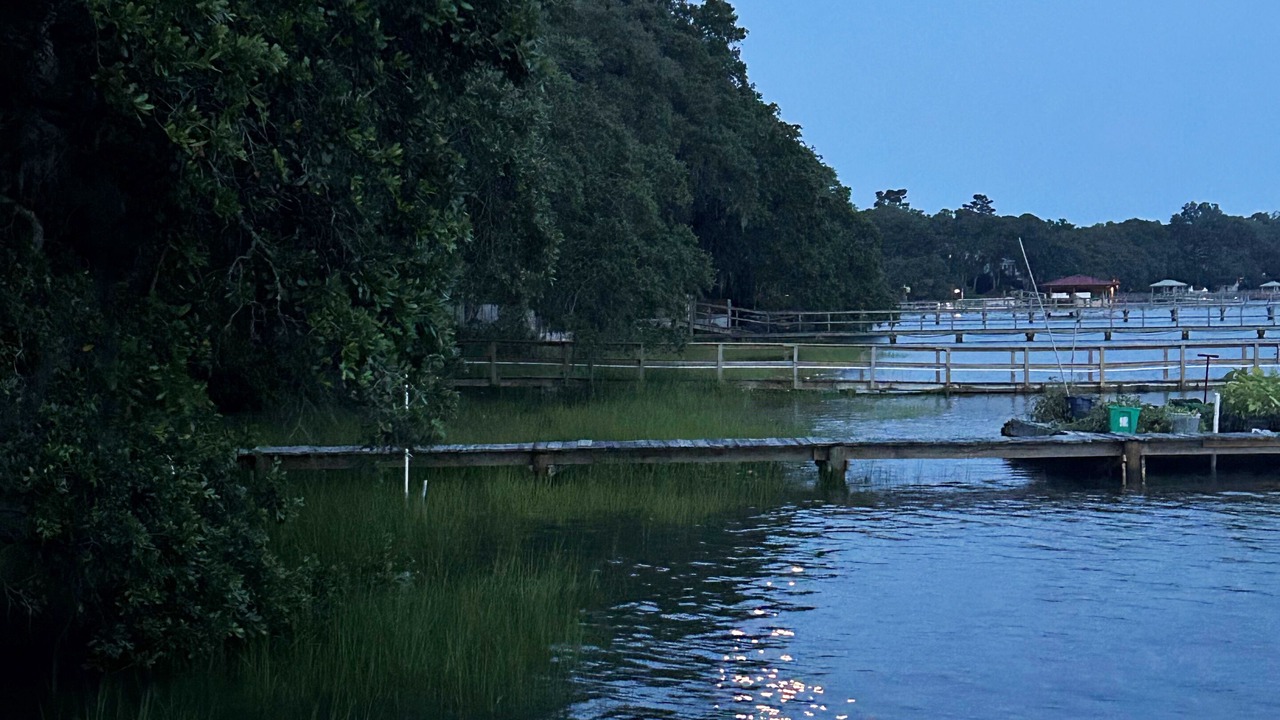 Photo of Others in West Ashley