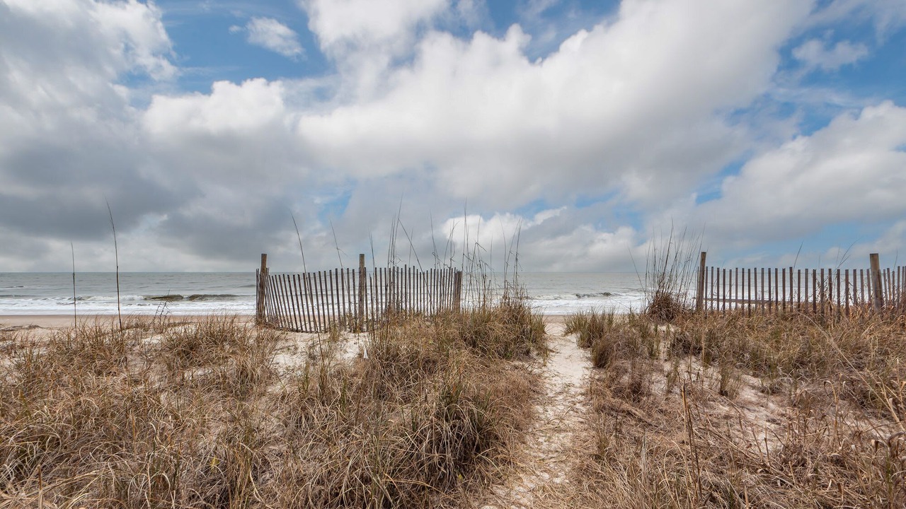 Photo of Others in Edisto Island