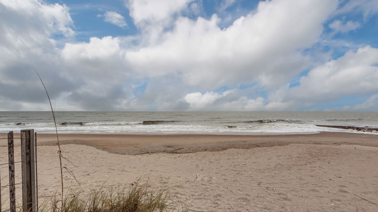 Photo of Others in Edisto Island