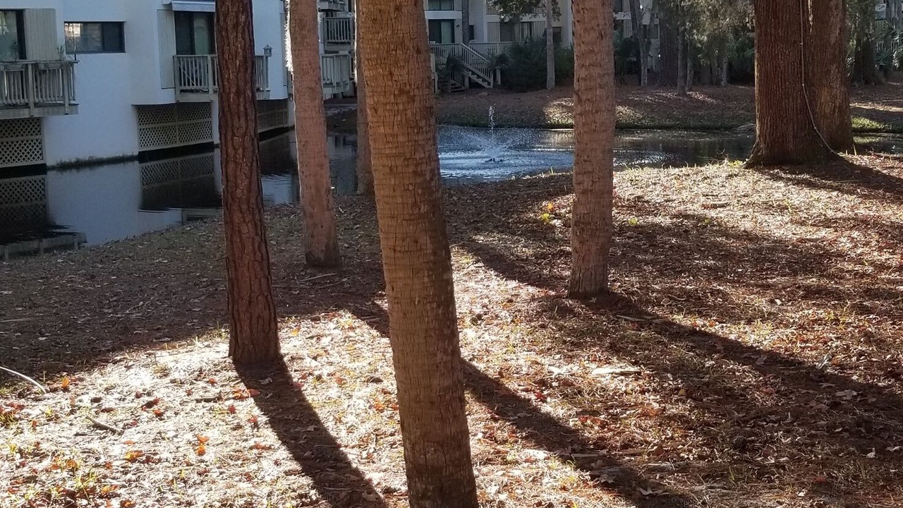 Photo of Outdoor in Hilton Head Island