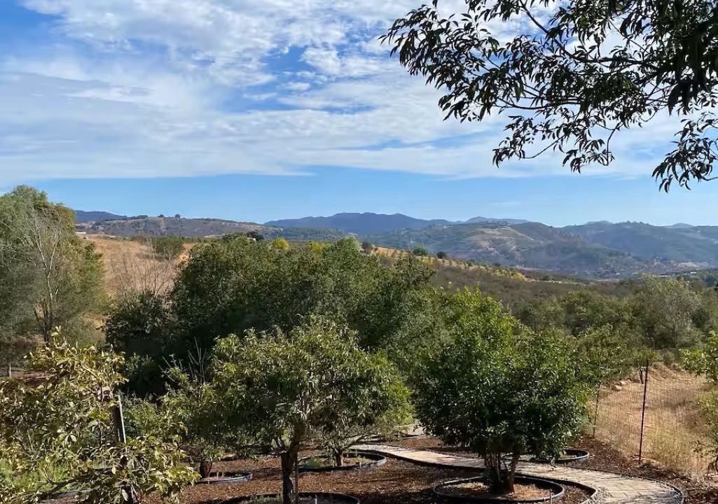 Photo of Outdoor in Escondido