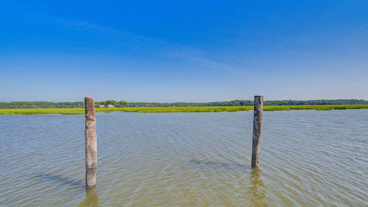 Photo of Others in Edisto Island