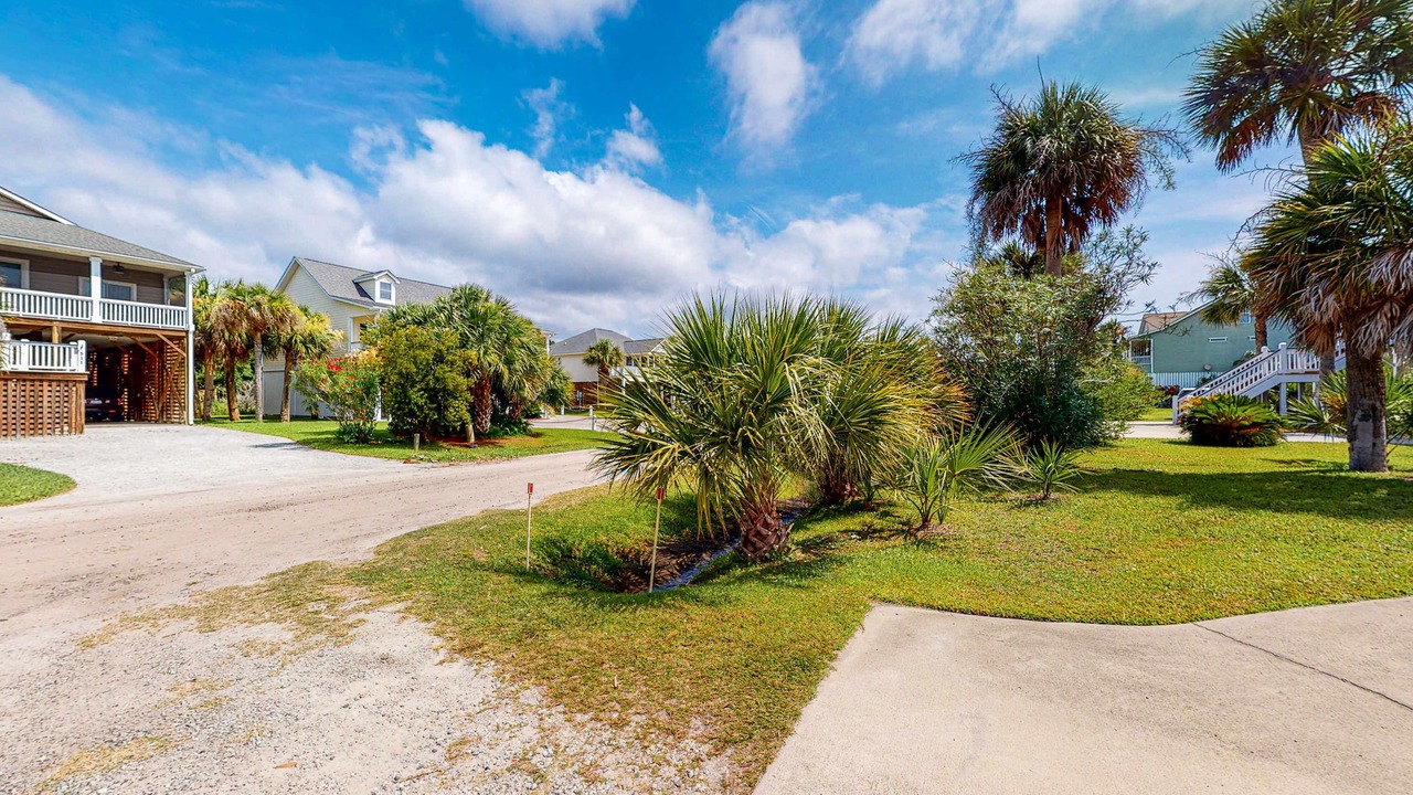Photo of Outdoor in Edisto Island