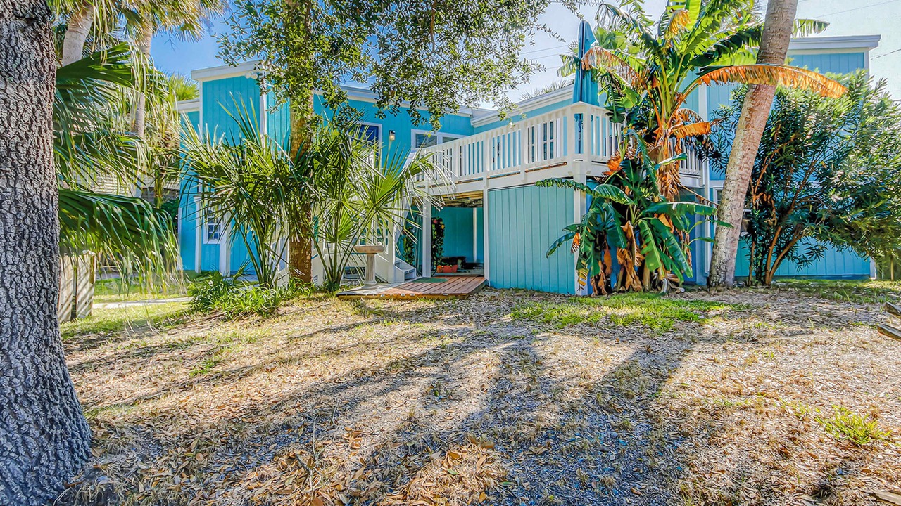 Photo of Outdoor in Edisto Island