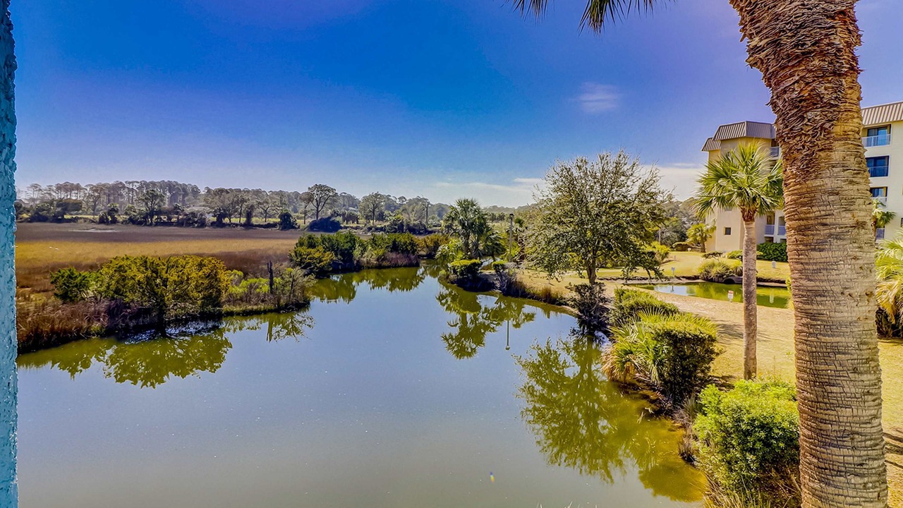 Photo of Others in Palmetto Dunes