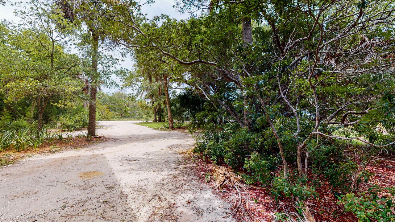 Photo of Others in Edisto Island
