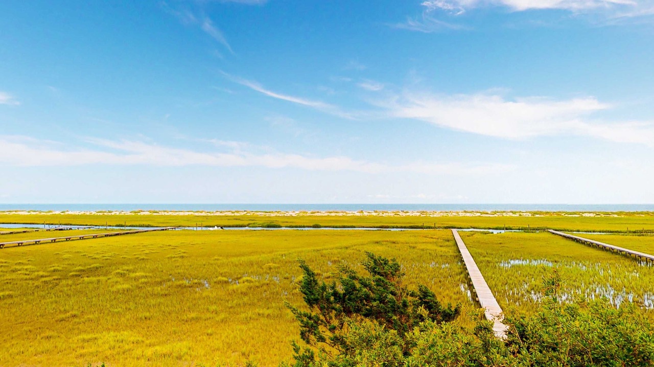 Photo of Others in Edisto Island
