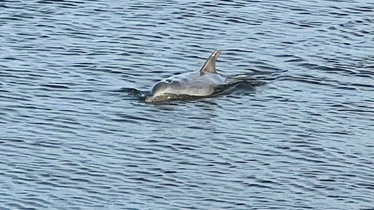 Photo of Others in Ocean Ridge