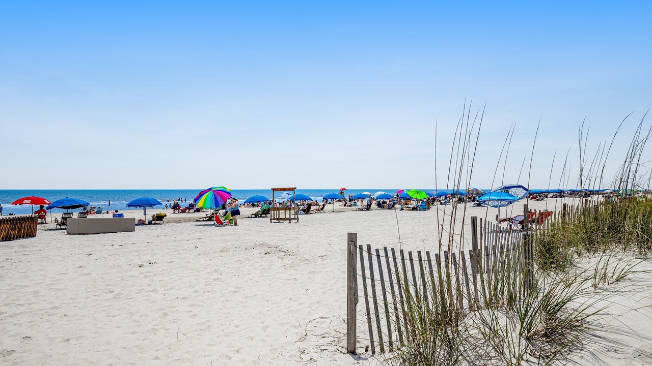 Photo of Others in North Forest Beach